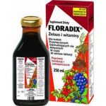 Floradix Żelazo i witaminy 250ml