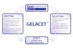 gelacet_info1